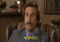 Movie gif. Will Ferrell as Ron in Anchorman tilts his head skeptically then nods vigorously. Text, "Agreed."