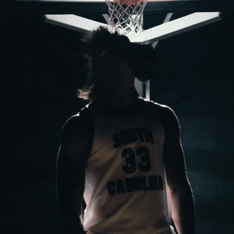 March Madness Sport GIF by gamecocksonline