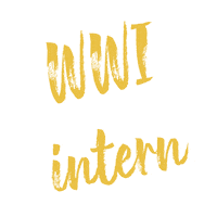 worldwide_internships alumni intern internship internships Sticker