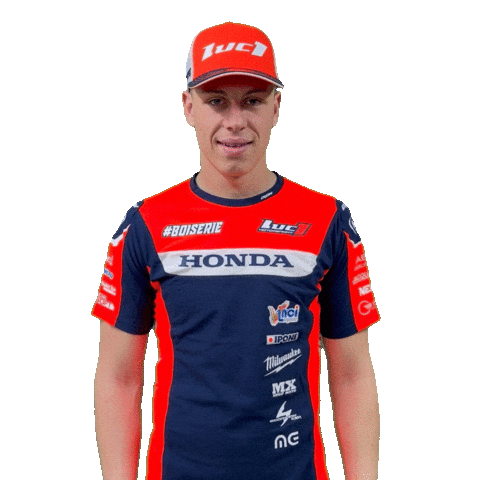 Wheeling Boiserie Sticker by Luc1