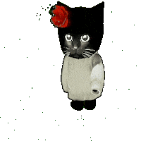 Bro Gif Sticker