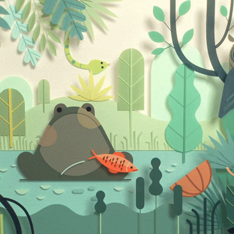 studioaka animation animals nature plants GIF