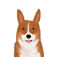 Happy Dogs Sticker by breadcrumbsclub
