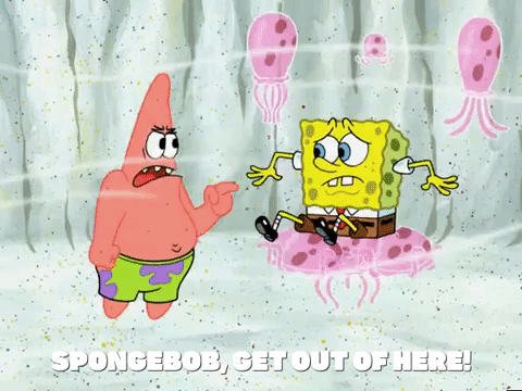 season 5 the two faces of squidward GIF by SpongeBob SquarePants