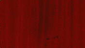 Four Year Strong GIF by Pure Noise Records