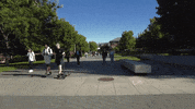 GIF by WSU Pullman