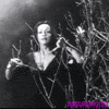plan 9 from outer space vintage horror GIF by absurdnoise