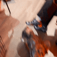 Billie Eilish GIF by Paramount Pictures