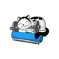 Cat Fitness Sticker by Aqua Revolution