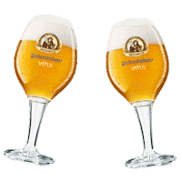 Beer Cheers Sticker by Bayerische Staatsbrauerei Weihenstephan