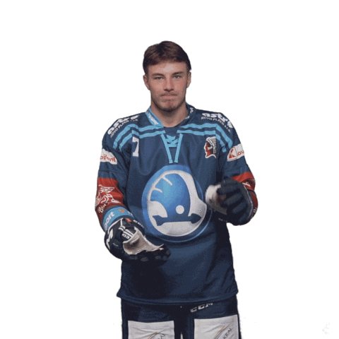 Hockey Applause Sticker by HC Škoda Plzeň