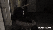 Halloween Ugh GIF by Deadstream