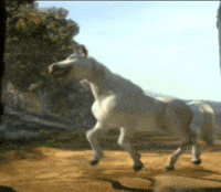 White Horse GIF