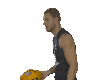 Carlton Fc Yes Sticker by Carlton Football Club