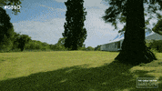 Bake Off Tent GIF by The Great British Bake Off
