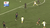 Goalkeeper Save GIF by RhodeIslandFC