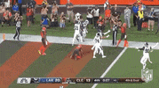 Regular Season Football GIF by NFL