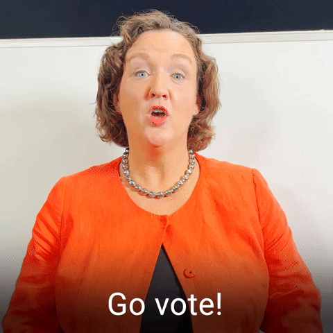 Go vote!