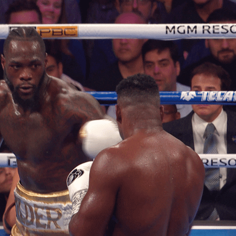 Deontay Wilder Knockout GIF by Premier Boxing Champions