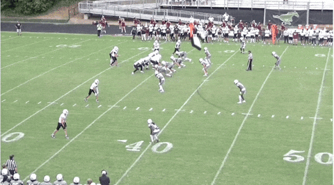 Derp42 giphyupload GIF