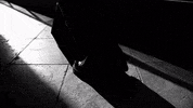 Black And White Shadow GIF by Gunna