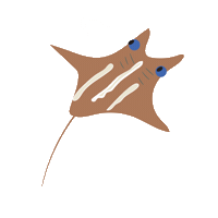 Sea Ray Sticker by Teaspoon studio