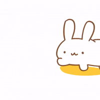 Bunny Rabbit GIF