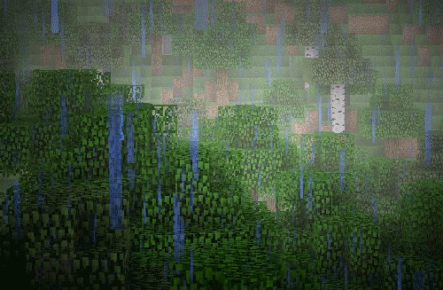 rain forest GIF
