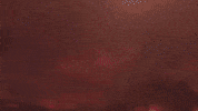 Dafuqboom GIF