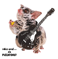 nikoand_official bushbaby ニコアンド nikoand pizzatoru Sticker