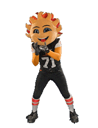 FiestaBowl football sun clap clapping Sticker