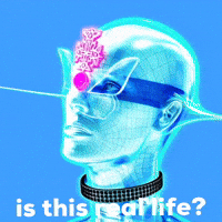Confused Is This Real Life GIF by The LSD Hotel