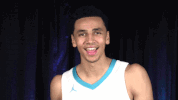 GIF by Charlotte Hornets