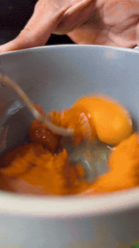 Pumpkin Pie In A Rice Cooker | Rice Robot