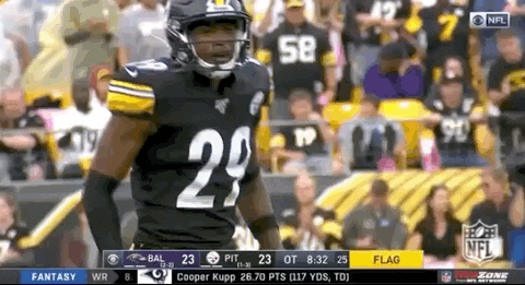 Pittsburgh Steelers Football GIF by NFL