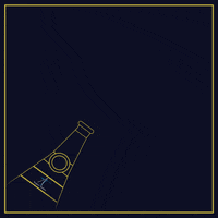 Happy New Year Party GIF