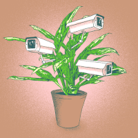 animation art GIF by Videotage