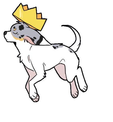 Queen Chihuahua Sticker