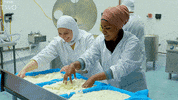 bbc food cooking bbc cheese GIF