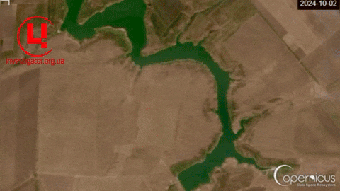 serhiistarushko giphyupload GIF