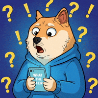 Shiba Inu What GIF by Doge Pound