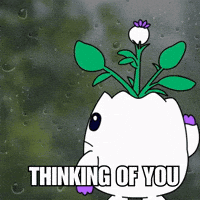 Sending You Love GIF by Magic Eden