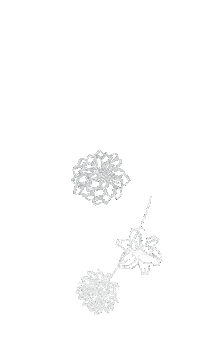 Flower 花 Sticker