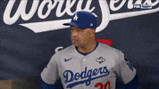 World Series Sport GIF by MLB