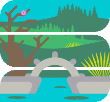 ExploreSeattleSouthside cherry blossoms japanese garden seattle southside curiously wonderful GIF