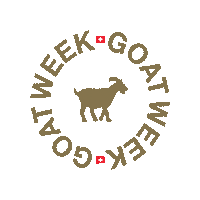 Blackfriday Sticker by LediBelle