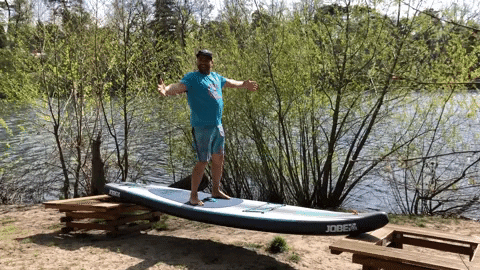 stehpaddler giphygifmaker GIF