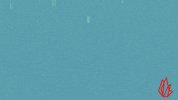 Free Speech First Amendment GIF by TheFIREorg