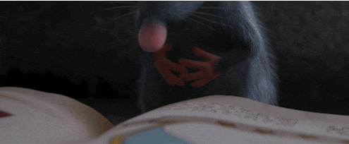 giphy.gif