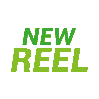 spunktonline new owl new reel neu Sticker